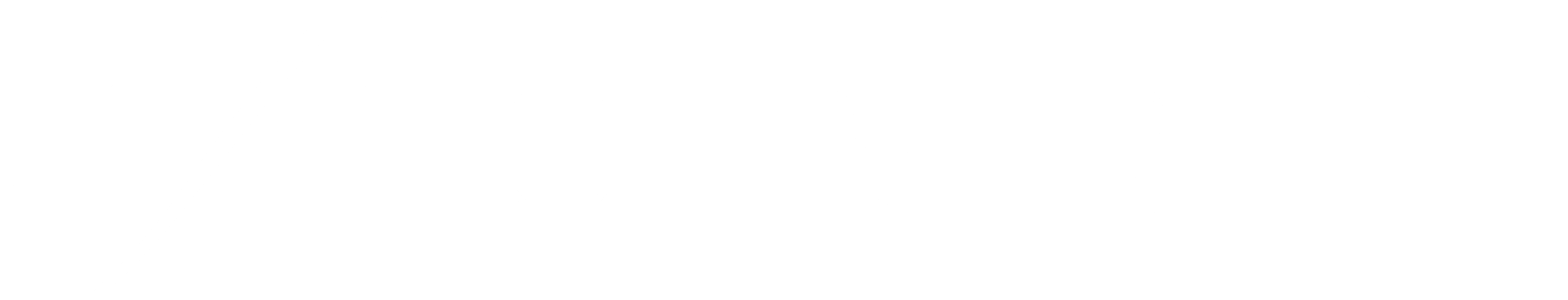 CLEVERLINT